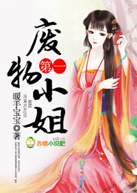 小说：第一废物小姐，作者：暖手宝宝