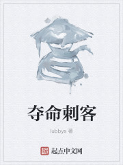 小说：白金刺客，作者：lubbys
