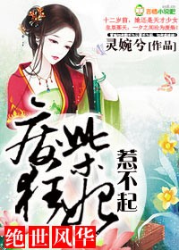 小说：绝世风华，废柴狂妃惹不起，作者：灵婉兮