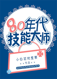 小说：80年代技能大师，作者：小白菜地里黄