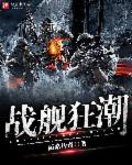 小说：战舰狂潮，作者：陌路传奇