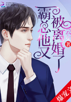 小说：霸总他又被离婚了，作者：云女