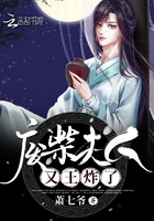 小说：废柴夫人又王炸了，作者：萧七爷