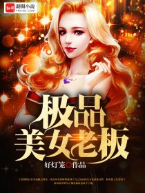 小说：极品美女老板，作者：好灯笼