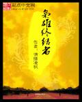 小说：枭雄终结者，作者：情缘凌枫