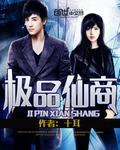 小说：极品仙商，作者：十耳