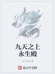 小说：九天之上永生殿，作者：君王带笑