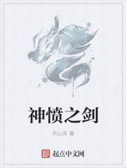 小说：神愤之剑，作者：东山泽