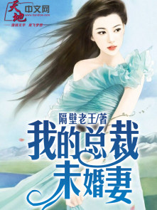 小说：我的总裁未婚妻，作者：隔壁老王