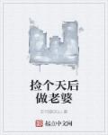 小说：捡个天后做老婆，作者：走马踏天山