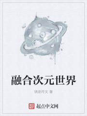 小说：融合次元世界，作者：锈迹符文