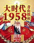 小说：大时代1958，作者：青山铁杉