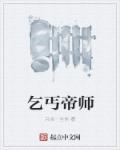 小说：乞丐帝师，作者：只合一生休