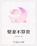 小说：娶妻不算贵，作者：婉逸含笑