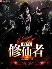 小说：真气修仙者，作者：小小阿白