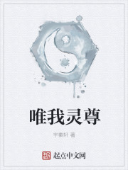 小说：唯我灵尊，作者：宇秦轩