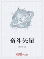 小说：奋斗矢量，作者：清辉若