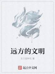 小说：远方的文明，作者：东兰是种花