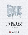小说：卢姜扶汉，作者：盒饭加卤蛋