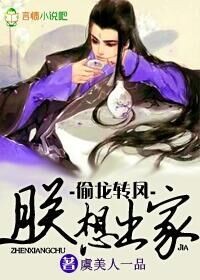 小说：偷龙转凤朕想出家，作者：虞美人一品