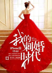 小说：我的刺婚时代，作者：iPhone酱