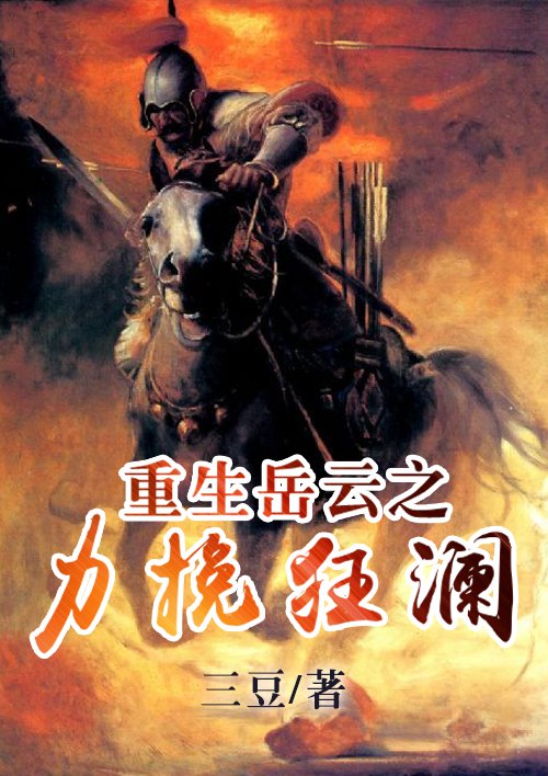 小说：重生岳云之力挽狂澜，作者：三豆