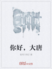 小说：你好，大唐，作者：夜雨1992