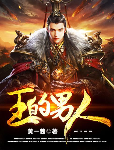 小说：王的男人，作者：黄一茜