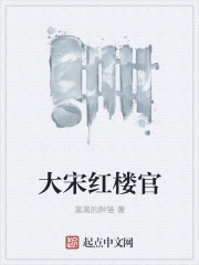 小说：大宋红楼官，作者：黑黑的胖猫