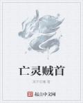 小说：亡灵贼首，作者：双开狂魔