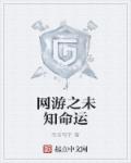小说：网游之未知命运，作者：无名写手