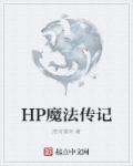 小说：HP魔法传记，作者：洛河落何