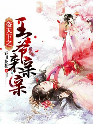 小说：盗天下之王爷来亲亲，作者：春田花花