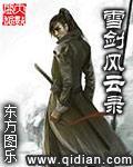 小说：雪剑风云录，作者：东方图乐