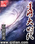 小说：星河大时代，作者：石径荒芜