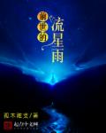 小说：前世的流星雨，作者：孤木难支
