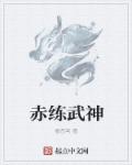 小说：赤练武神，作者：看苍穹