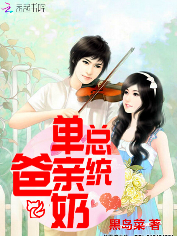 小说：总统单亲奶爸，作者：黑岛菜