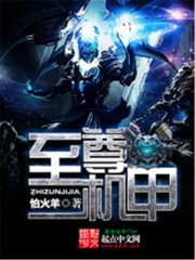 小说：至尊机甲，作者：羊火只一