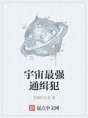 小说：宇宙最强通缉犯，作者：发飙的头发