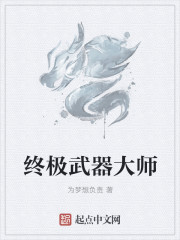 小说：终极武器大师，作者：为梦想负责