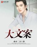小说：大文案，作者：孙不二万