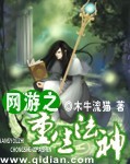 小说：网游之重生法神，作者：木牛流猫