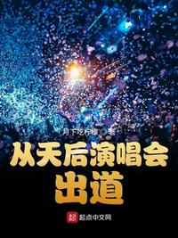 小说：从天后演唱会出道，作者：月下吃柠檬