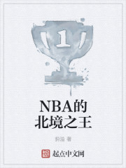 小说：NBA的北境之王，作者：葑溢