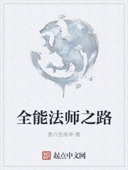 小说：全能法师之路，作者：第六至高神