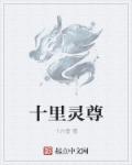 小说：十里灵尊，作者：十六壹