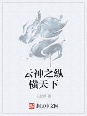 小说：云神之纵横天下，作者：云起峰