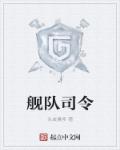 小说：舰队司令，作者：头皮暴多