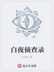 小说：白夜侦查录，作者：KualaL